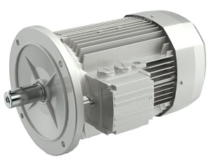 Электродвигатель BONFIGLIOLI RIDUTTORI M3LC4 W110 UB3